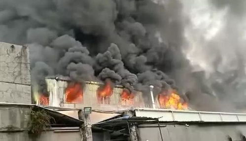 仓库起火 综合险与一切险的选择指南