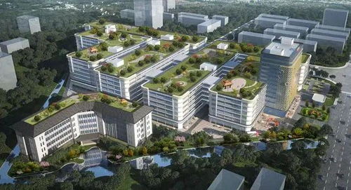 江门迎来企业投资热潮，实业兴城正当时