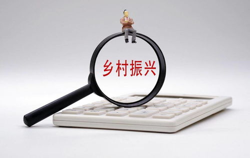 打通金融“最后一公里”，以多元服务赋能乡村振兴