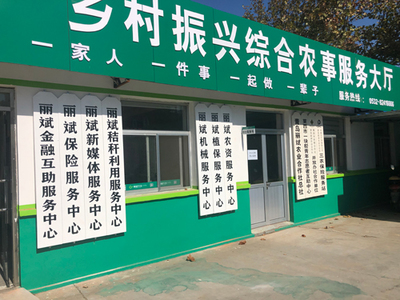 粒粒皆深情 青岛丽斌合作社撬动乡村振兴新棋局